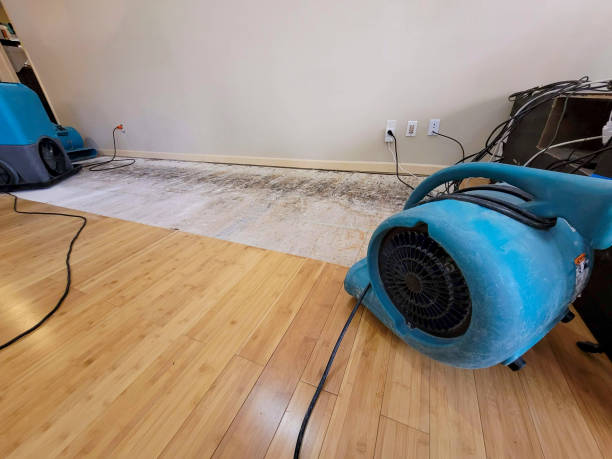 Professional Burst Pipe Water Damage technician working in Fernwood, MS
