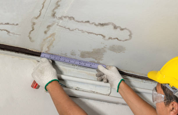 Affordable Burst Pipe Water Damage solutions in Fernwood, MS